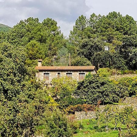 Casa Rural En Candeleda Con Piscina Y Un Maravilloso Jardin Exteriör bild