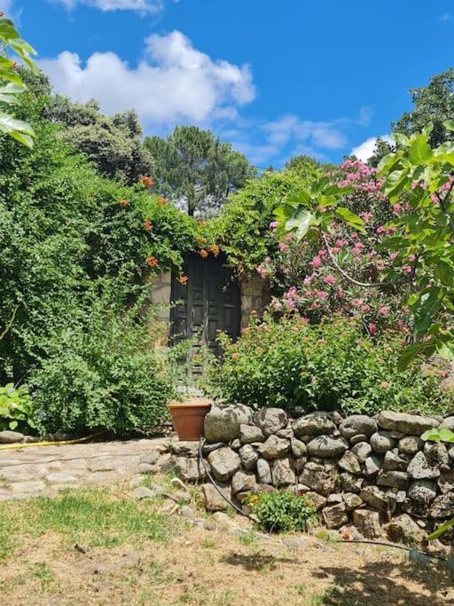 Casa Rural En Candeleda Con Piscina Y Un Maravilloso Jardin Exteriör bild