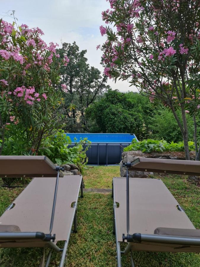 Casa Rural En Candeleda Con Piscina Y Un Maravilloso Jardin Exteriör bild