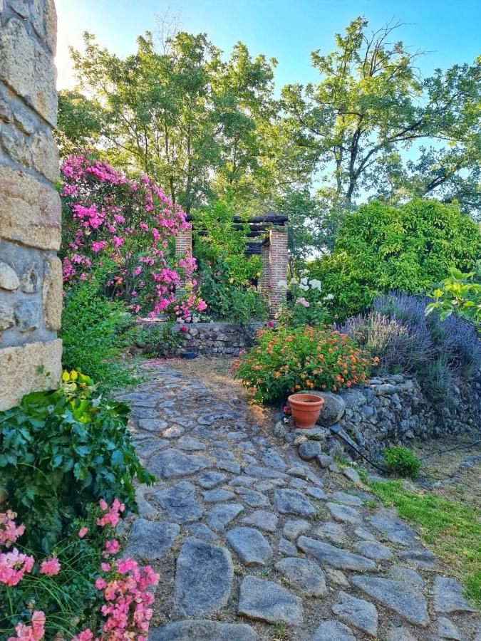 Casa Rural En Candeleda Con Piscina Y Un Maravilloso Jardin Exteriör bild