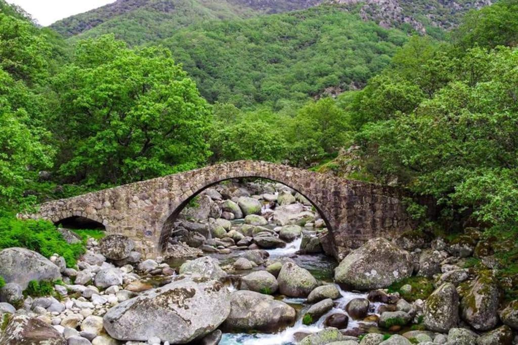 Casa Rural En Candeleda Con Piscina Y Un Maravilloso Jardin Exteriör bild