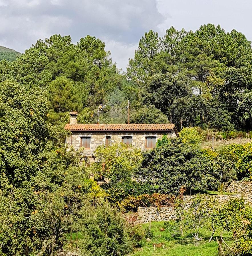 Casa Rural En Candeleda Con Piscina Y Un Maravilloso Jardin Exteriör bild