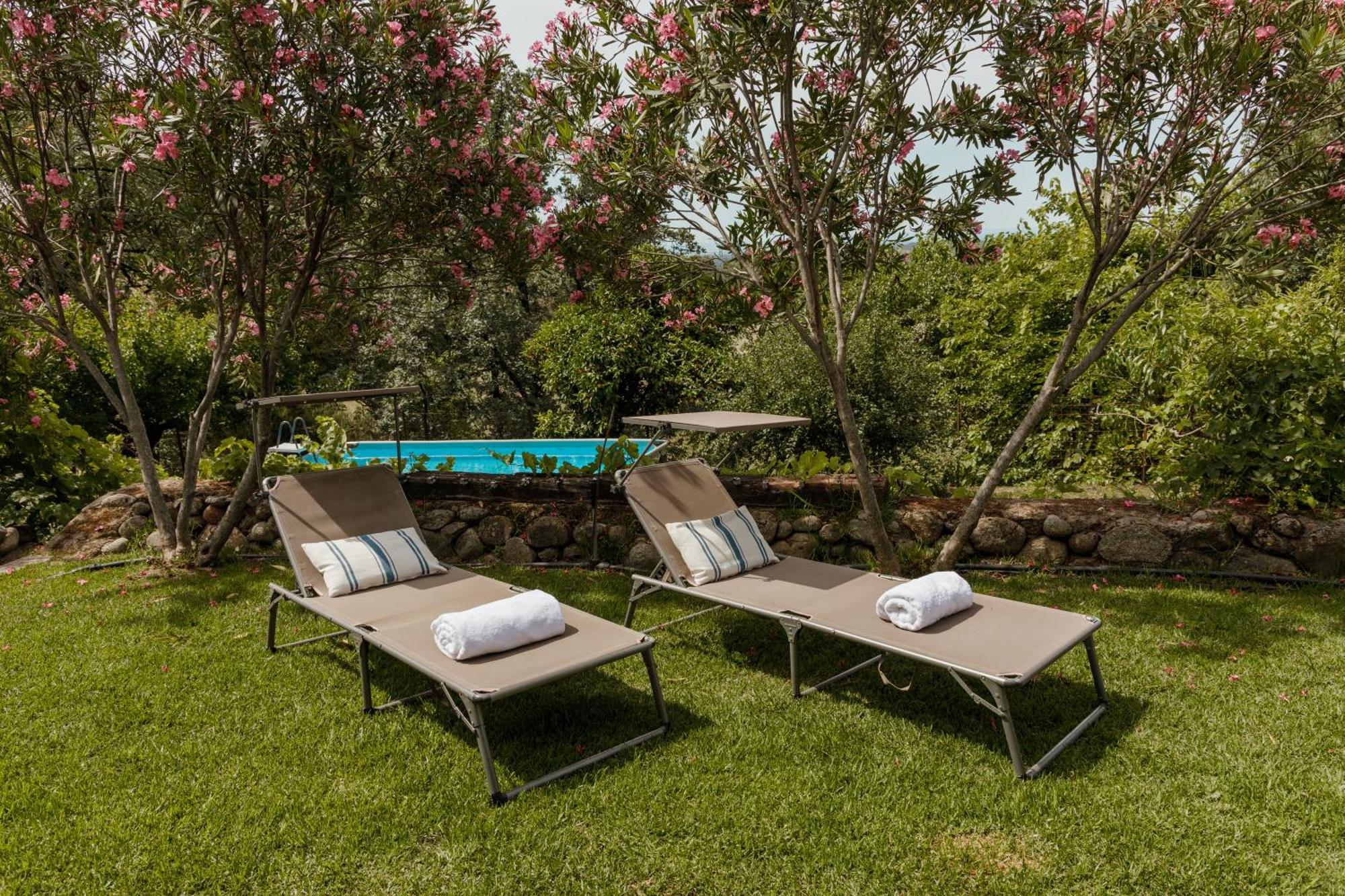 Casa Rural En Candeleda Con Piscina Y Un Maravilloso Jardin Exteriör bild