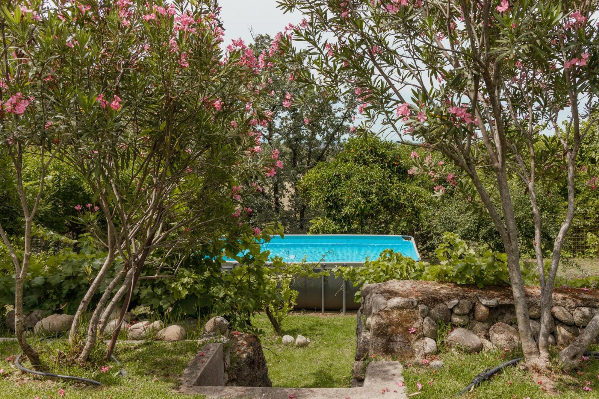 Casa Rural En Candeleda Con Piscina Y Un Maravilloso Jardin Exteriör bild