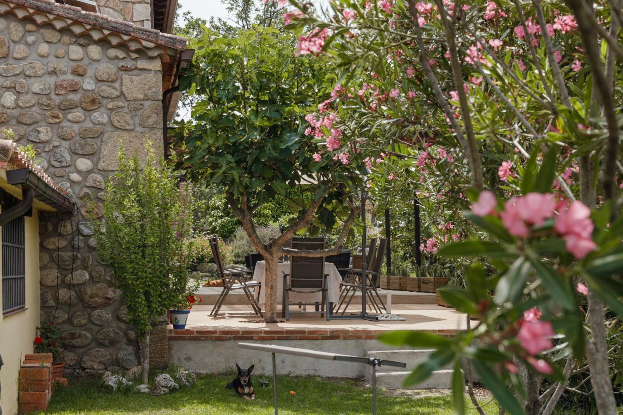 Casa Rural En Candeleda Con Piscina Y Un Maravilloso Jardin Exteriör bild